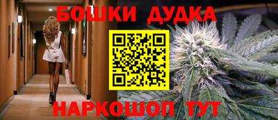 МДПВ Гусев