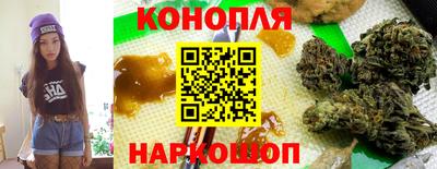 МДПВ Гусев