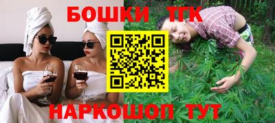 МДПВ Гусев