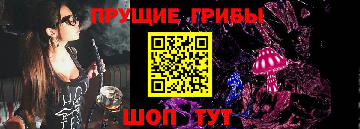 Псилоцибиновые грибы Psilocybine cubensis Павлово